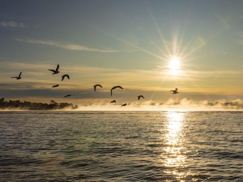 Fascinating Sea Mist