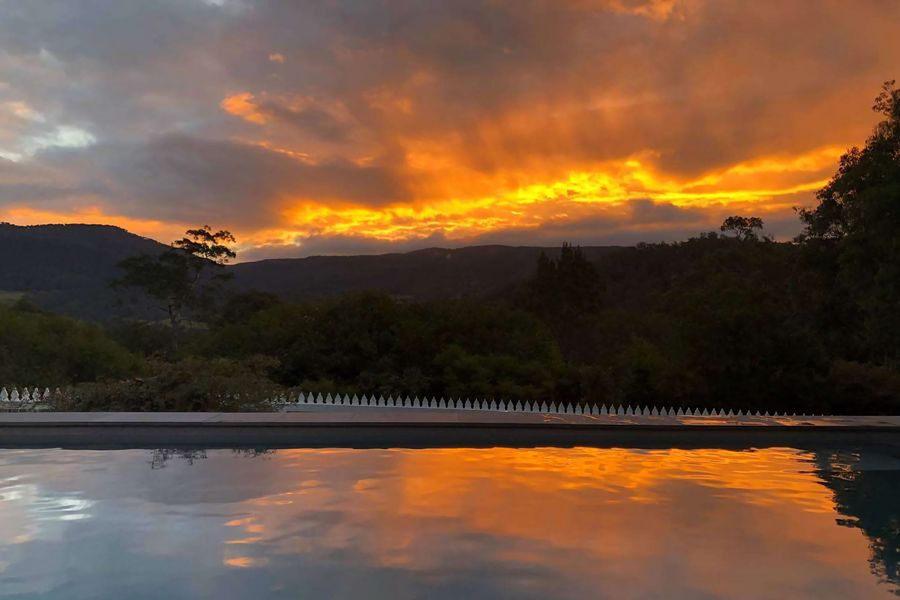 Birdsong, Kangaroo Valley