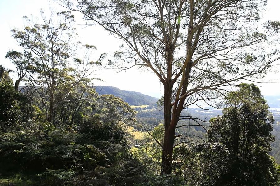 Valley View Estate, Kangaroo Valley