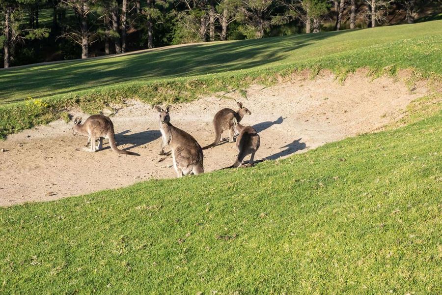 Villa 27 Kangaroo Valley Golf Course, Kangaroo Valley