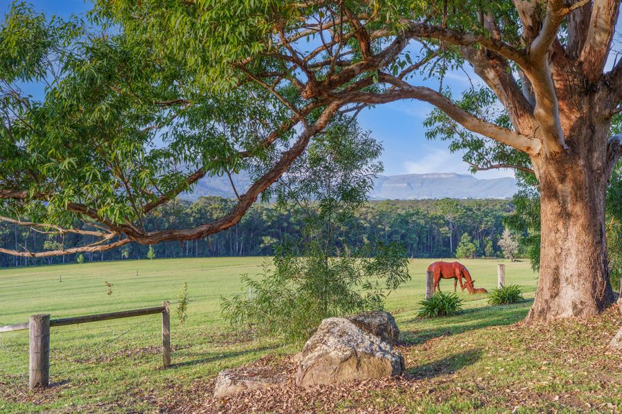 Cally Mill Farm, Kangaroo Valley