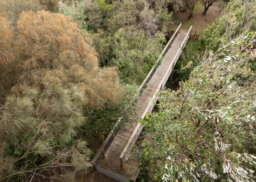Walk across to the back yard and track to the golf course. Perfect spot to walk the dogs 