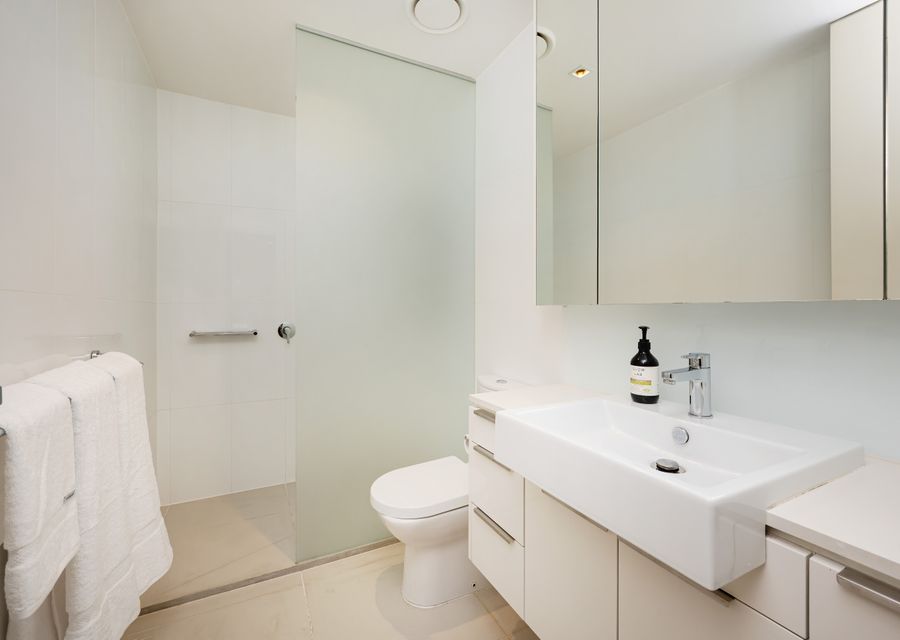 Family bathroom with single vanity, walk in shower with step in shower and toilet