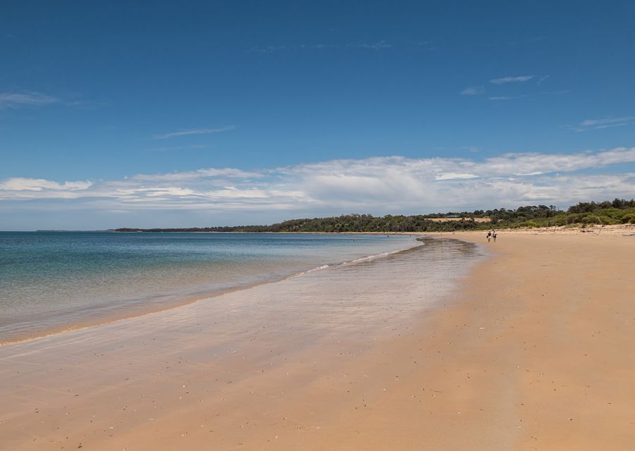 The beach is safe for families.  It’s one for the Mornington Peninsula’s hidden gems 