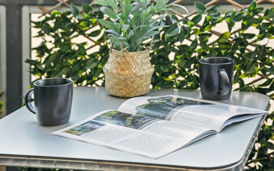 Tulip – The Urban Elegance