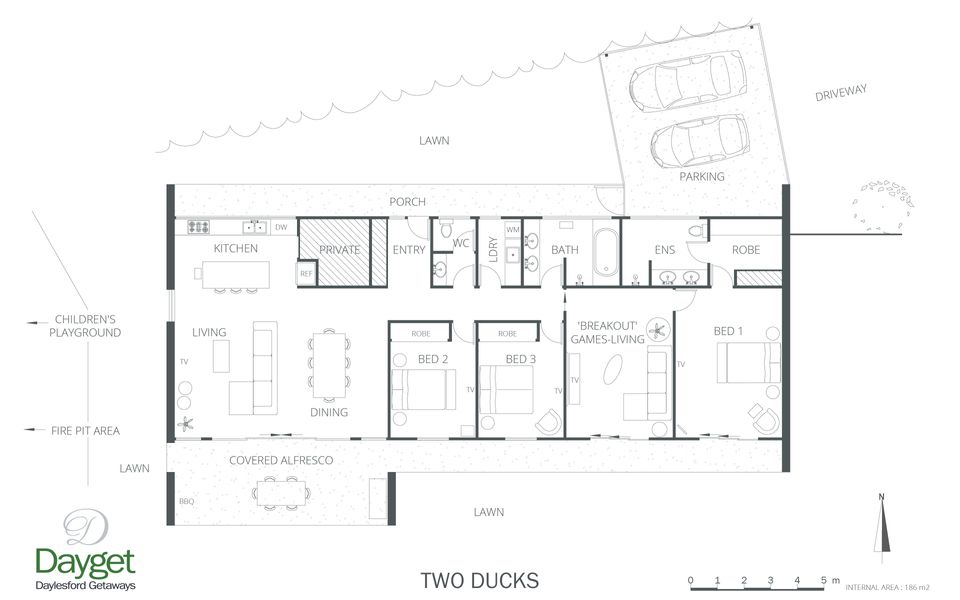 Two Ducks