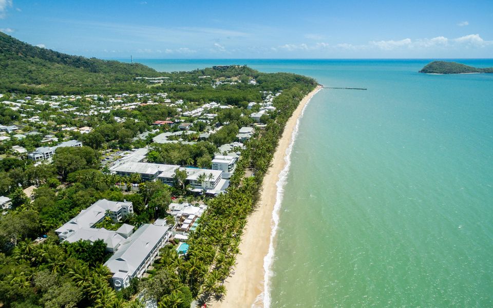 Havenly Palm Cove