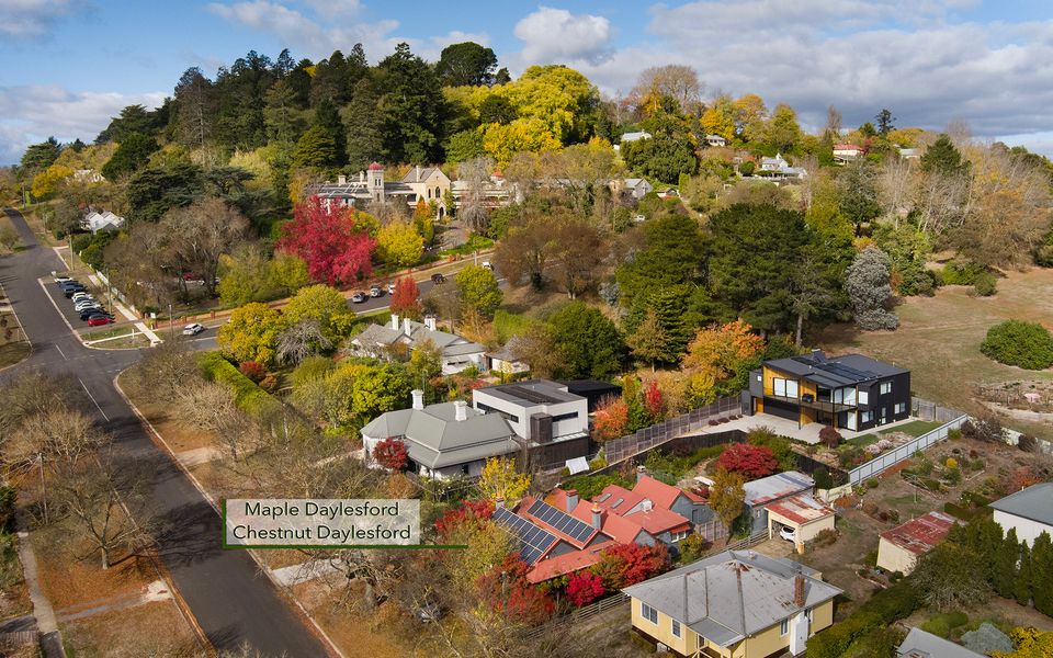 Maple Daylesford