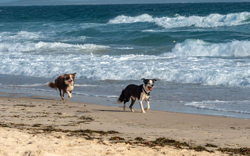 South Passage Beach House - Discover Stradbroke