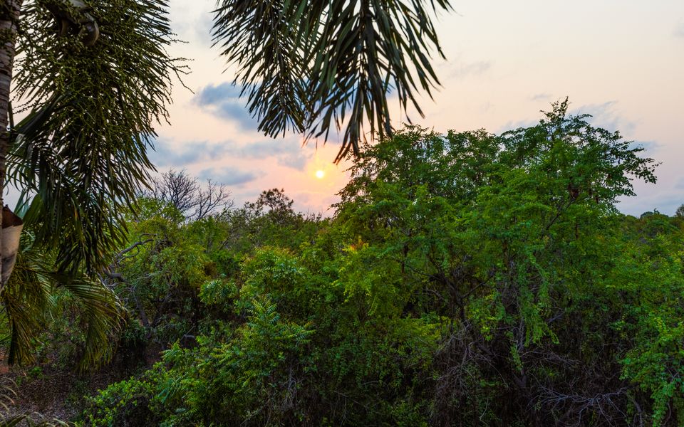Demco Beach Retreat