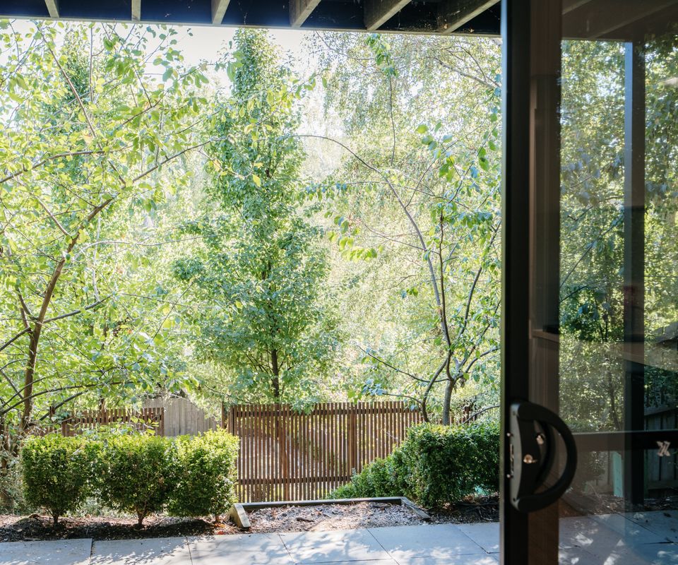 Tree Top Studio ITAS